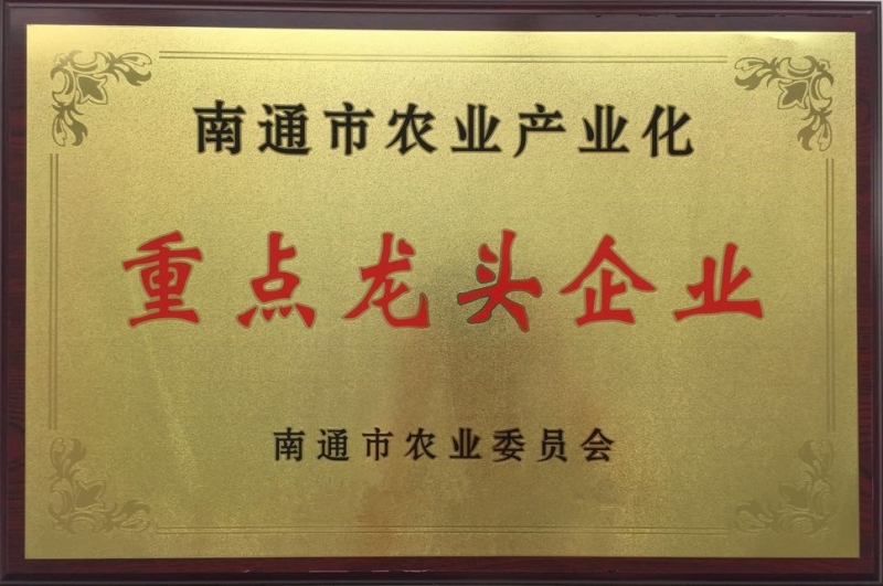C:\Users\梅林\AppData\Local\Microsoft\Windows\INetCache\Content.Word\ps龙头_副本.jpg